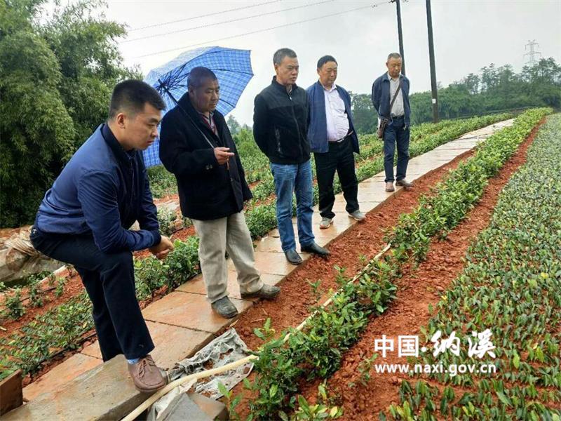 201711231518054506.jpg 201711231518054506.jpg